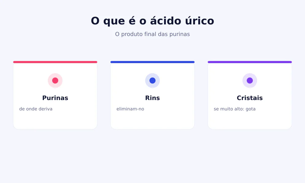Esquema do ácido úrico: deriva das purinas, os rins eliminam-no, em excesso forma cristais