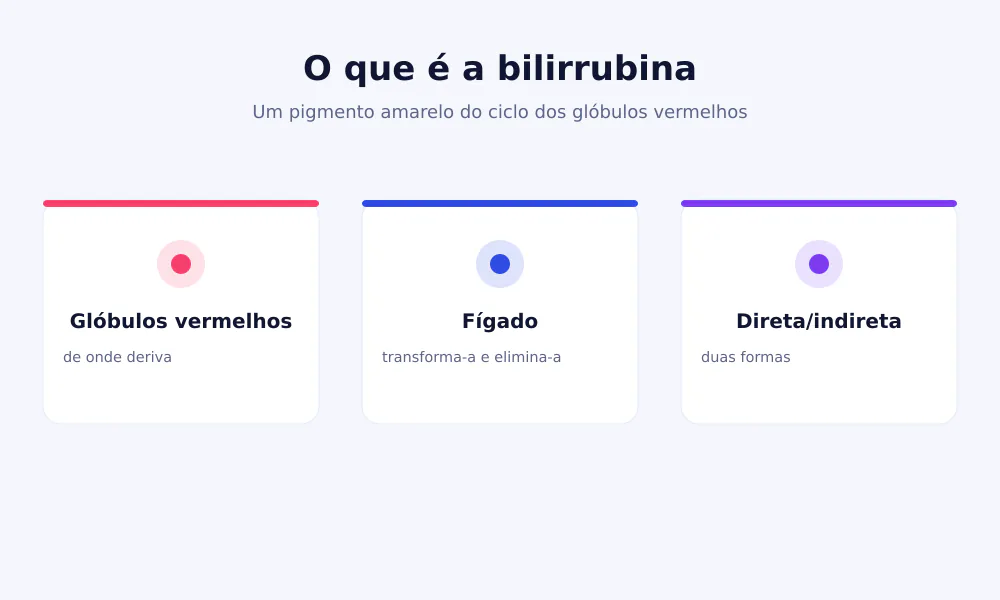 Esquema da bilirrubina: resulta dos glóbulos vermelhos, o fígado transforma-a e elimina-a
