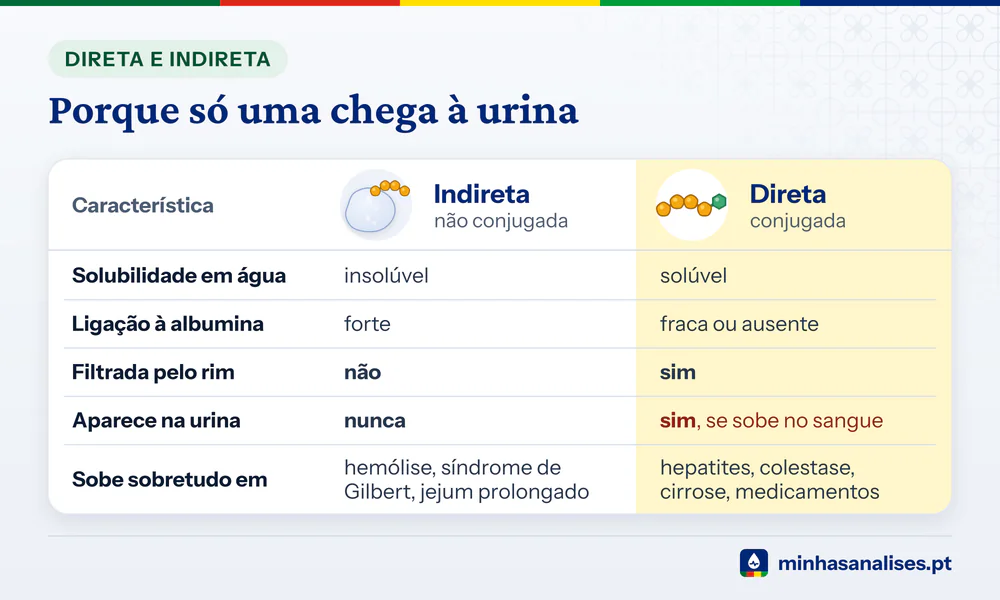 Tabela que compara a bilirrubina indireta e a direta: solubilidade, albumina, filtração no rim, presença na urina e causas