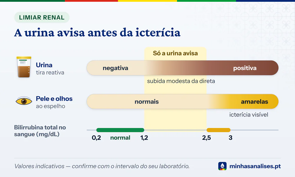 Barras da bilirrubina total no sangue: a urina já é positiva pouco acima do normal e a pele só amarela após 2,5 a 3 mg/dL