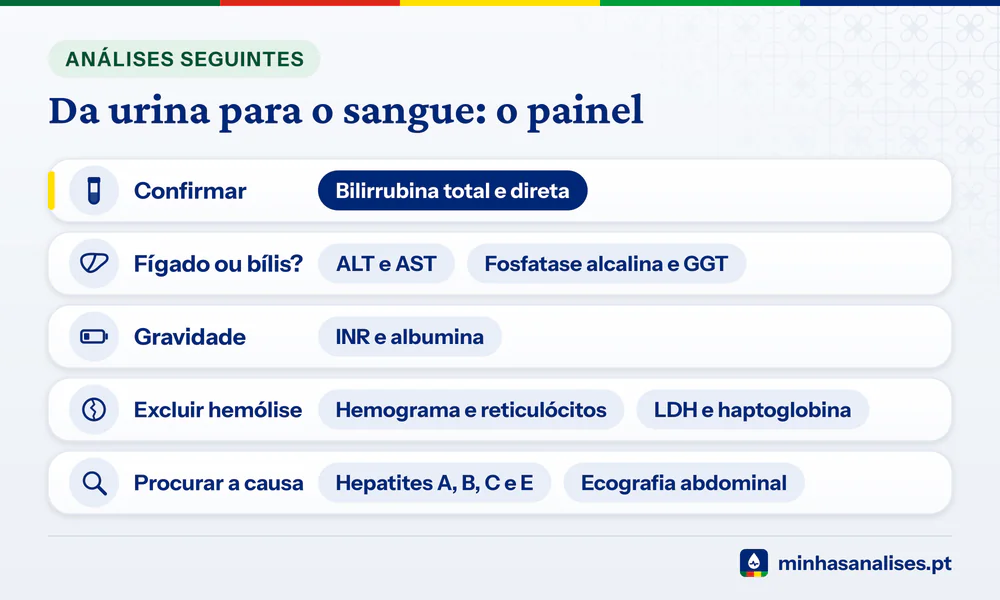 Cinco perguntas e as análises que respondem: bilirrubina total e direta, transaminases, fosfatase alcalina, INR e ecografia