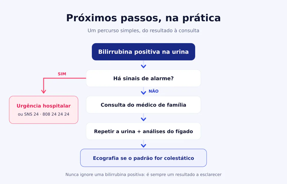 Fluxograma dos próximos passos: bilirrubina positiva, verificar sinais de alarme, urgência ou consulta, repetir análises e ecografia