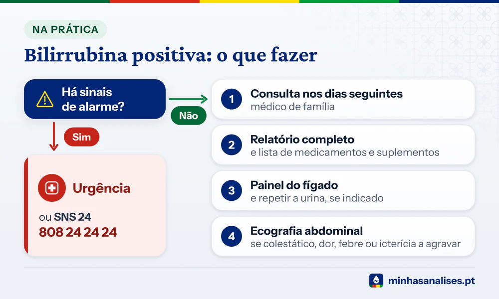 Fluxograma da bilirrubina positiva na urina: com alarme, urgência ou SNS 24; sem alarme, consulta, análises e ecografia