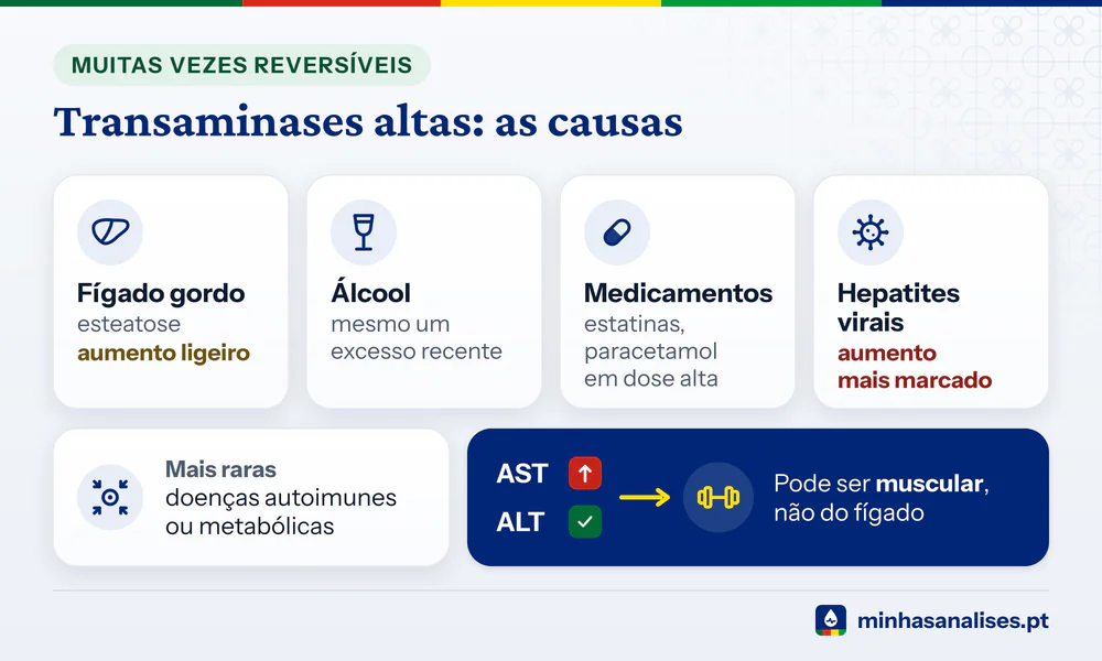 Quatro causas de transaminases altas: fígado gordo, álcool, medicamentos e hepatites virais, e a pista muscular da AST