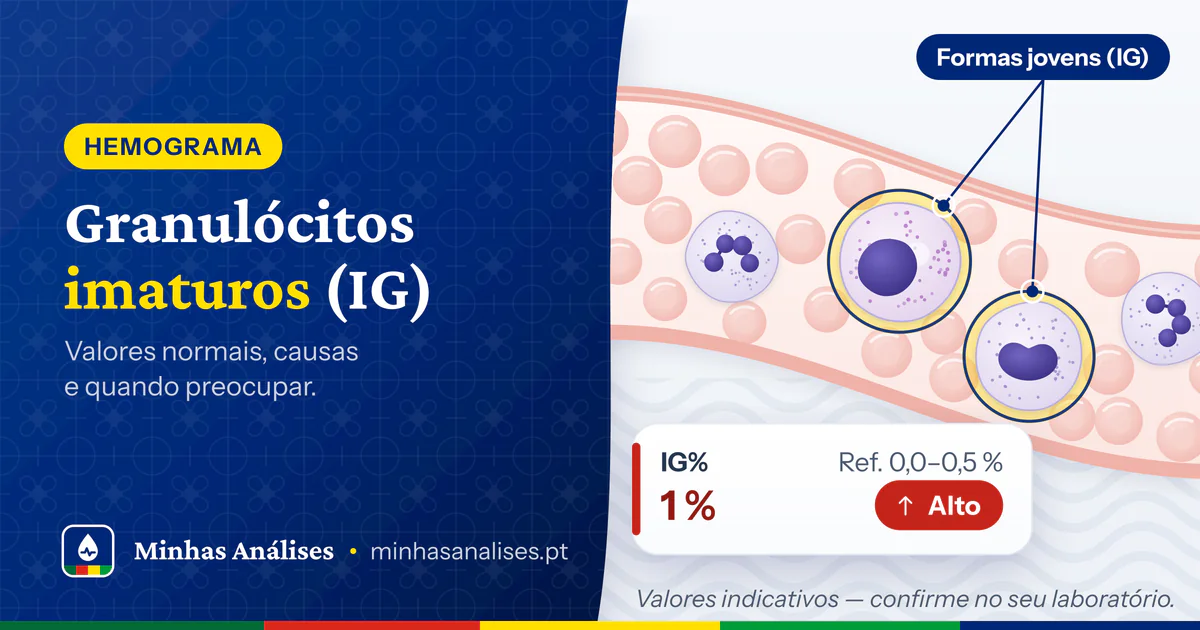 Vaso sanguíneo com glóbulos vermelhos, neutrófilos maduros e dois granulócitos imaturos assinalados; IG% de 1 %, alto