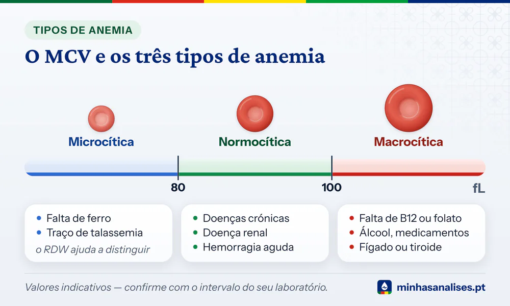 Hemácias pequenas, normais e grandes sobre a escala do MCV, com as causas da anemia microcítica, normocítica e macrocítica