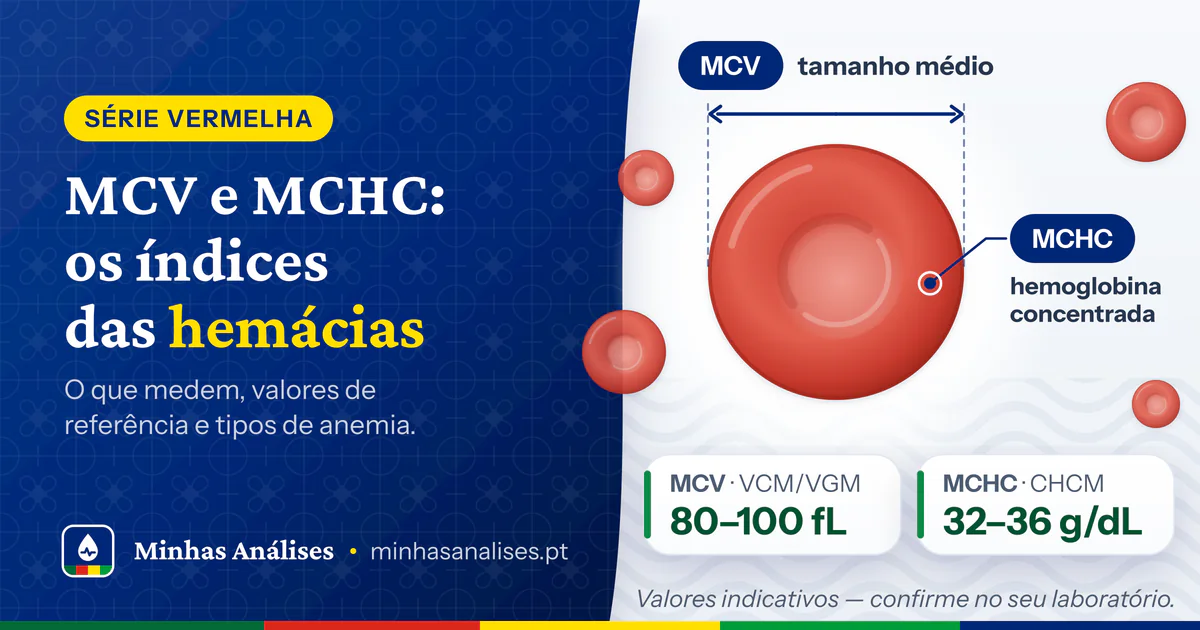 Glóbulo vermelho com a cota do diâmetro (MCV) e a hemoglobina assinalada (MCHC); por baixo, MCV 80–100 fL e MCHC 32–36 g/dL