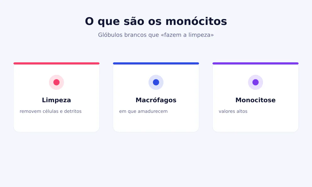 Esquema dos monócitos: glóbulos brancos que removem detritos e amadurecem em macrófagos