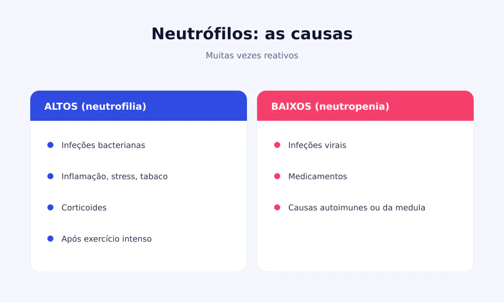 Causas dos neutrófilos altos (infeções bacterianas, stress) e baixos (vírus, fármacos)