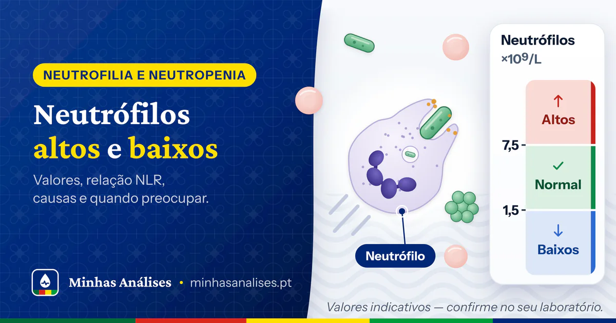 Neutrófilo a englobar uma bactéria e escala vertical: baixos abaixo de 1,5, normal 1,5–7,5 e altos acima de 7,5 ×10⁹/L