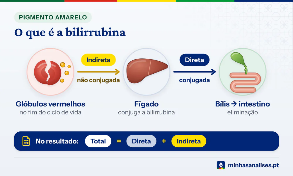 Percurso da bilirrubina: glóbulo vermelho partido, indireta até ao fígado, conjugação em direta e bílis até ao intestino