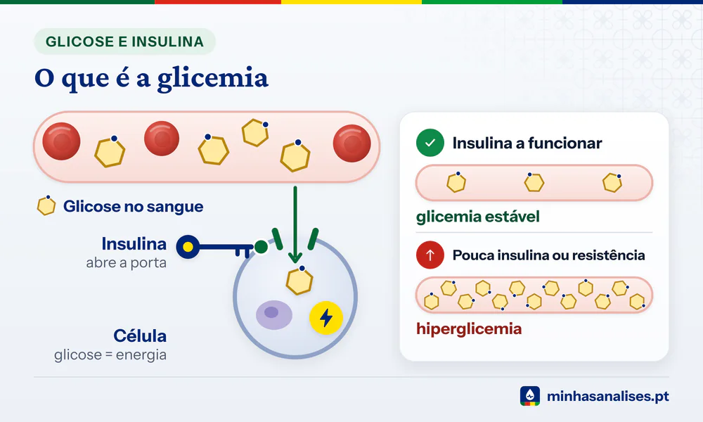 Glicose que passa do sangue para uma célula pela porta que a insulina abre e glicemia que sobe quando a insulina falha