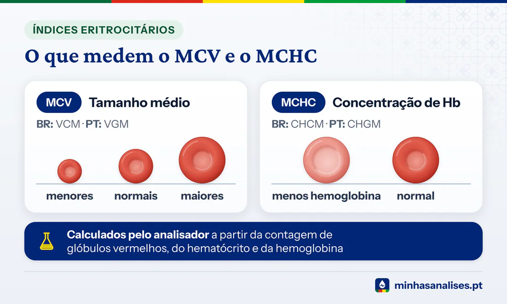 Hemácias menores, normais e maiores para o MCV e uma hemácia pálida ao lado de uma normal para o MCHC, com as siglas PT e BR