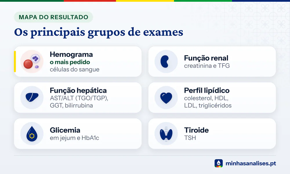 Leitura de Exame Online Grátis com IA | Minhas Análises