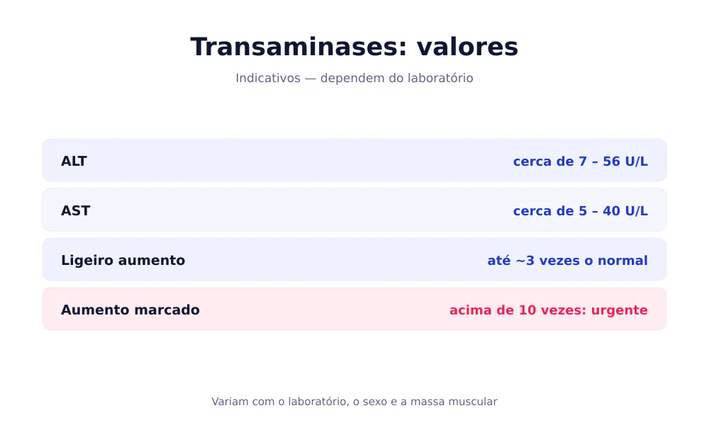 Tabela dos valores das transaminases: ALT cerca de 7-56 U/L, AST cerca de 5-40 U/L