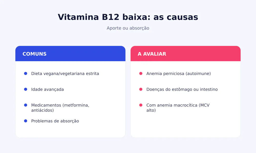 Causas da vitamina B12 baixa: dieta vegana, idade, fármacos, problemas de absorção, anemia perniciosa