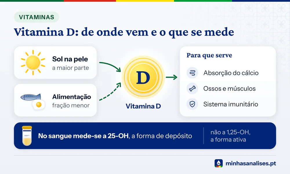Sol e alimentação como fontes de vitamina D, funções no cálcio, ossos e imunidade, e tubo de sangue onde se mede a 25-OH
